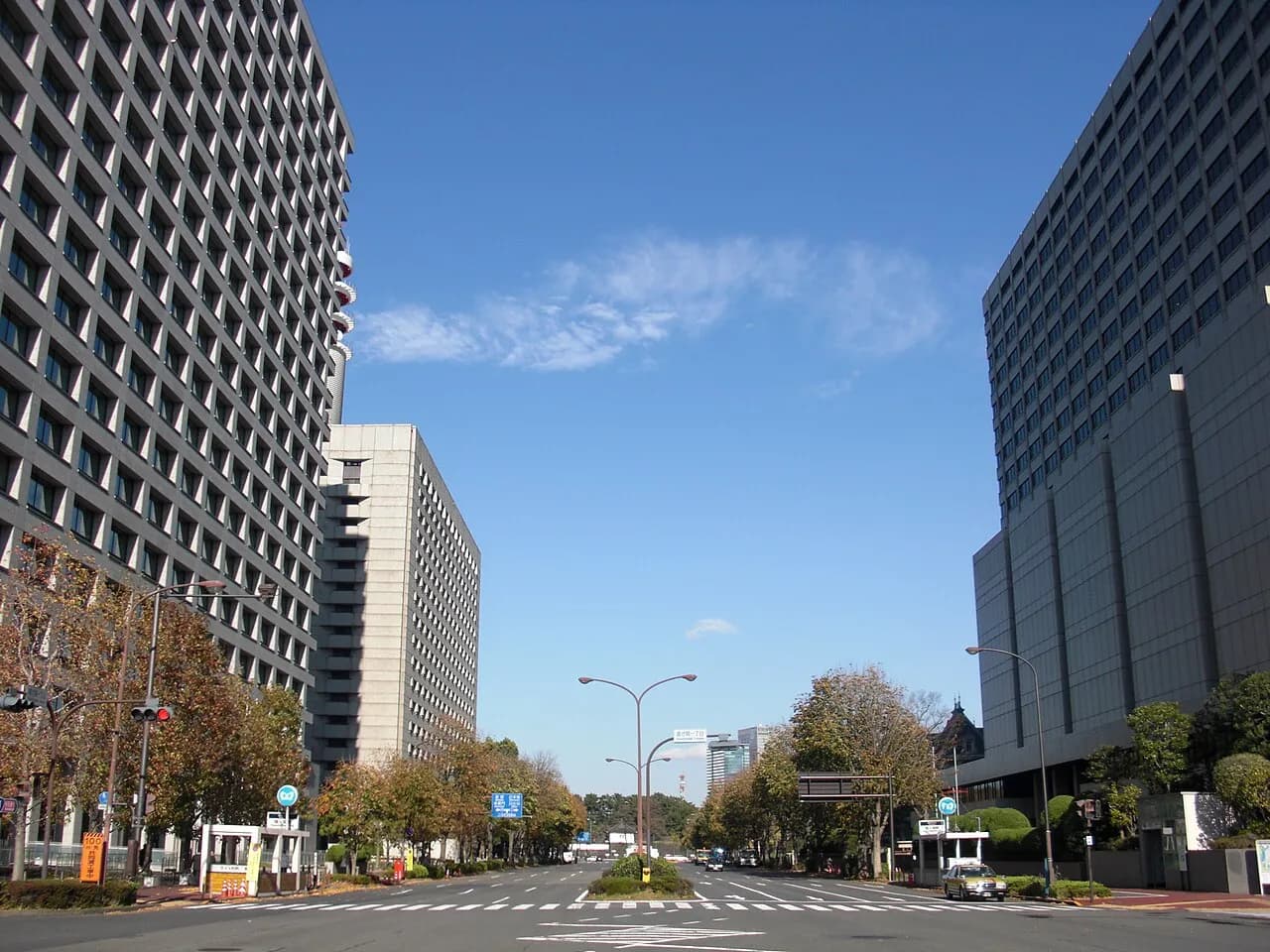 晴天の桜田通り。左右に大型の庁舎ビルが並び、中央分離帯のある広い道路の両側に紅葉した街路樹が続いている