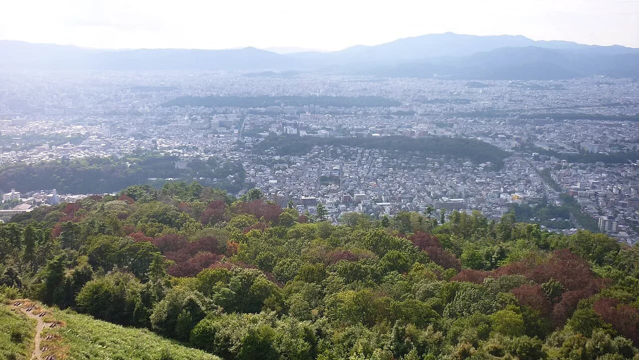 大文字山の中腹から見下ろした京都盆地。手前に木々の茂る山の斜面、中景に住宅や中低層のビルが広がり、中ほどに大きな森、奥に山並みがかすんで見える