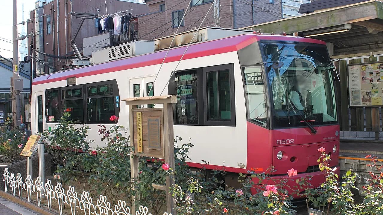 バラの植え込みの奥に、白い車体に赤紫の帯の路面電車（8802号）が停留場に停まっている。背後に中層の集合住宅が建ち並ぶ
