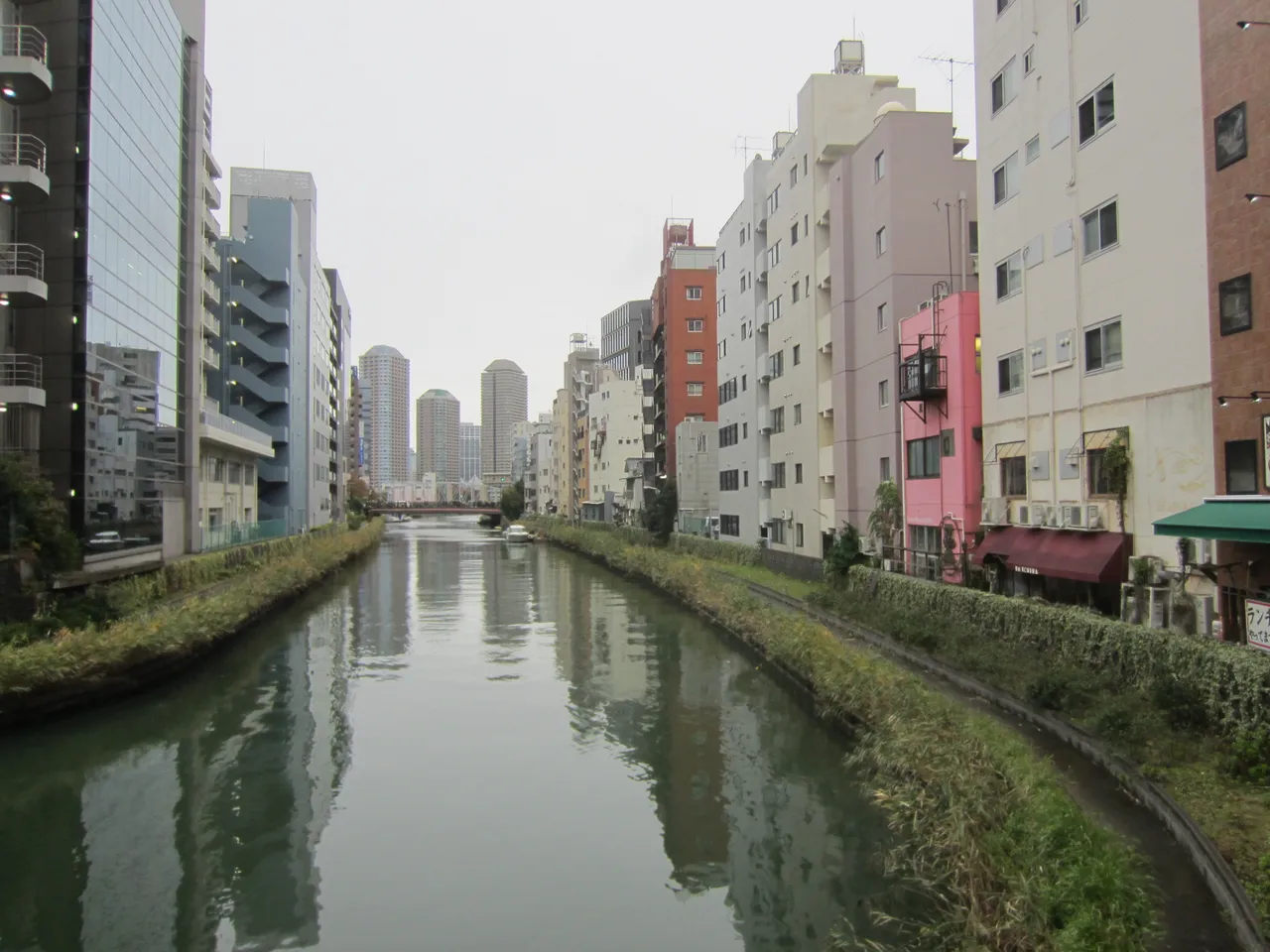 両岸に草の土手が続く亀島川。右岸に中層のマンションや店舗が並び、川の先に円筒形の高層マンション群が見える。曇り