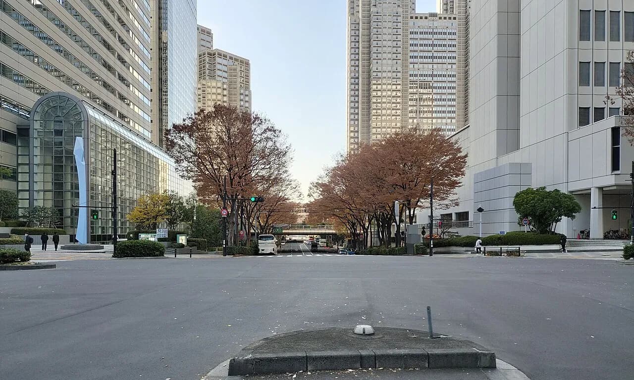 西新宿の広い交差点から見た通り。両側に高層ビルが並び、紅葉した街路樹の並木の奥に東京都庁の高層棟が見える