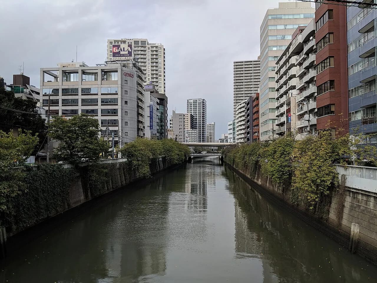 曇り空の目黒川。両岸の緑の植え込みに沿ってオフィスビルとマンションが建ち並び、奥に橋と高速道路の高架が見える