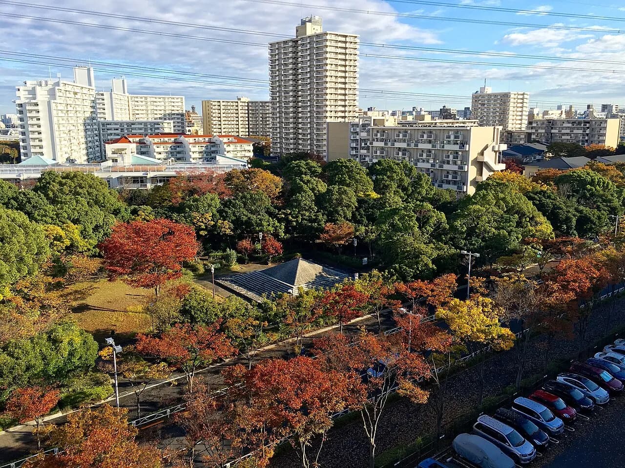 高い場所から見下ろした秋の若草公園。紅葉した木々と緑の木々の向こうに、白い高層マンションや団地が建ち並ぶ。右下に駐車場の車が並ぶ