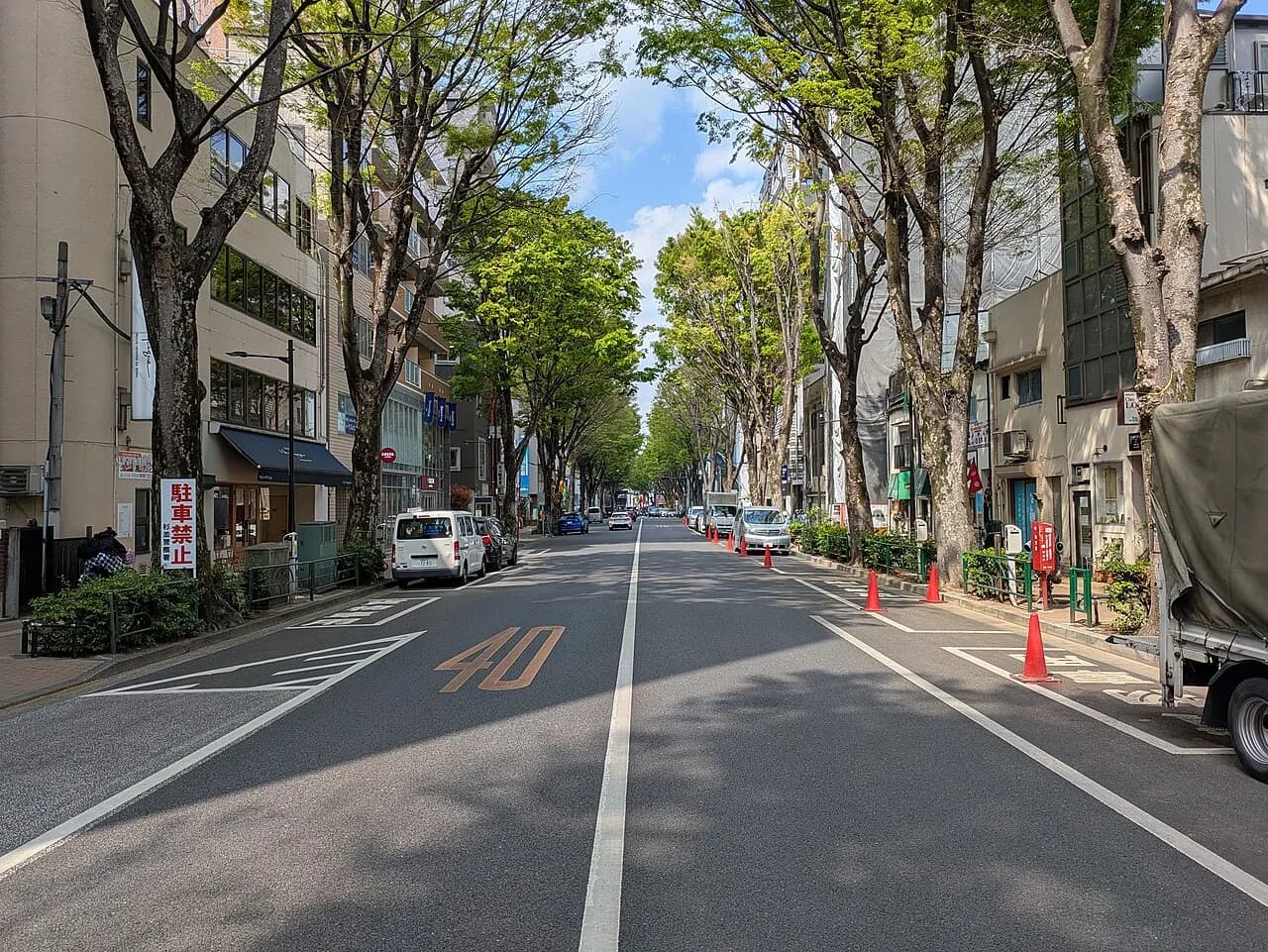 晴れた日の阿佐ヶ谷の中杉通り。道路の両側にケヤキの並木が奥まで続き、沿道に低層のビルや店が並ぶ。路面に速度表示の「40」が見える