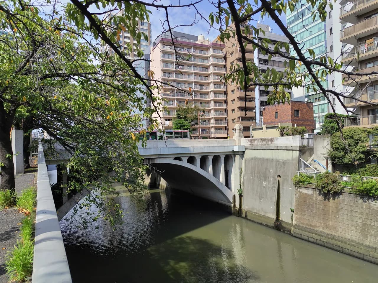 目黒川に架かるアーチ型の目黒新橋と、その奥に並ぶマンションやオフィスビル。手前に川沿いの木の枝がかかり、橋の上をバスが通っている