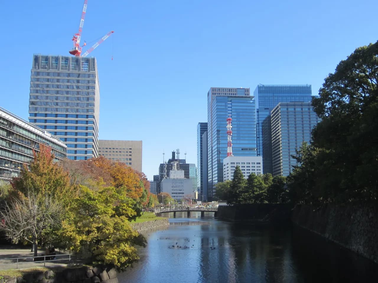 石垣に沿った大手濠の水面と紅葉した木々の奥に、大手町の高層オフィスビルが並ぶ晴天の風景。左のビル屋上に工事用クレーン