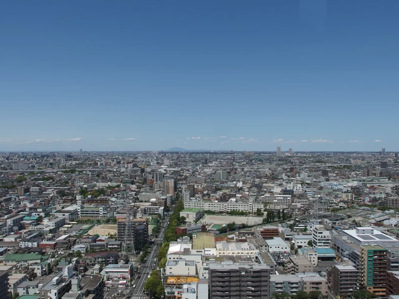 高層の展望室から見下ろした市街地。中低層の住宅やマンションが地平線まで広がり、手前に並木のある通りと学校の校庭が見える。晴天