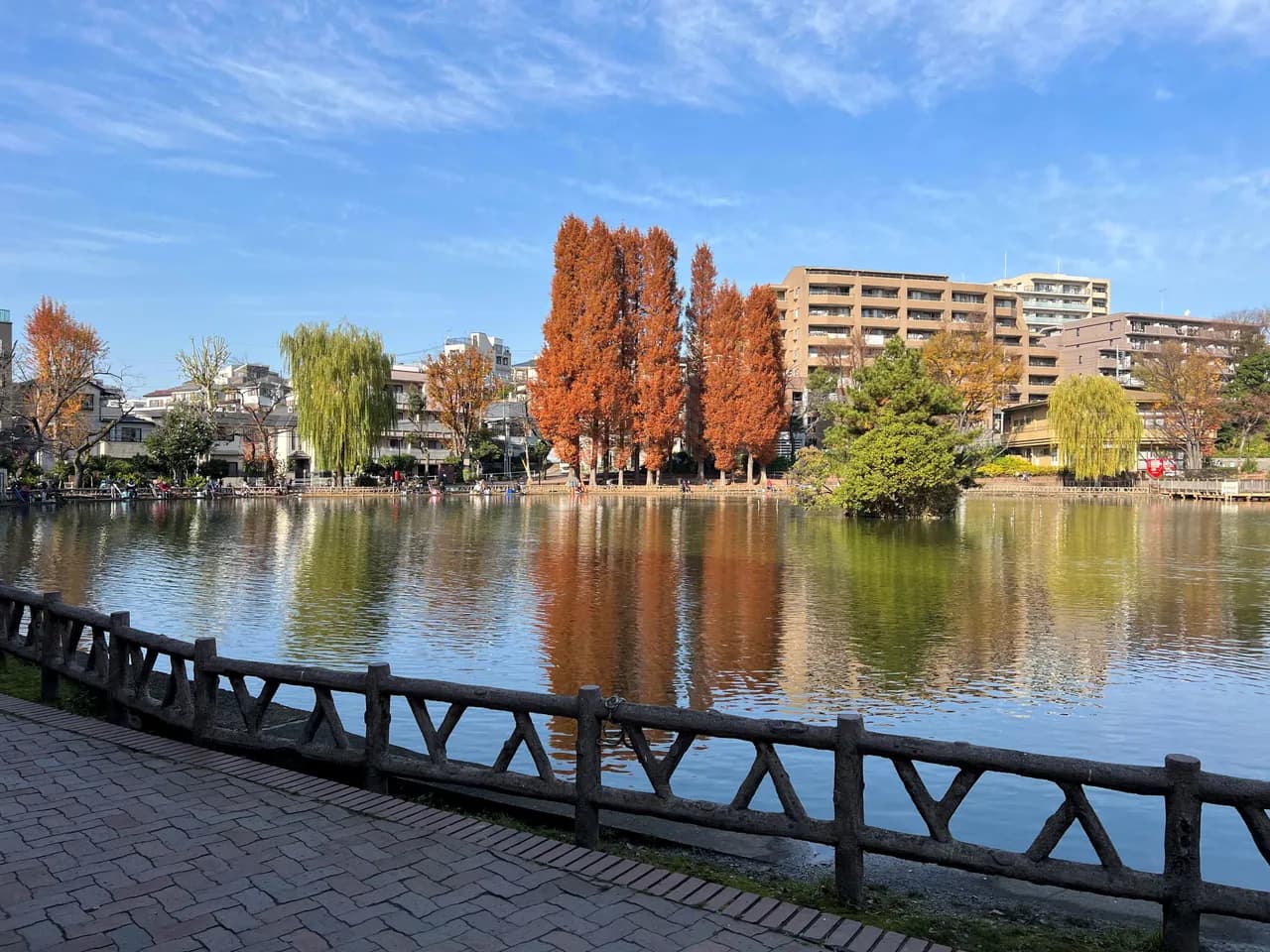 柵越しに広がる池の水面に、赤茶色に色づいた背の高い木々と柳が映る。対岸にマンションや住宅が並ぶ晴れた冬の公園